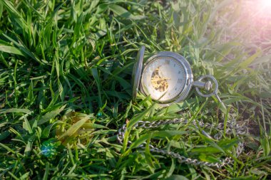 Yeşil çimlerin üzerinde duran antika cep saati. Steampunk saati. Güneşli bir yaz günü. Saat mekanizması kısmen görünür..