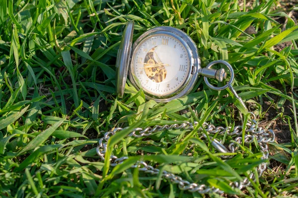 Relógio Bolso Vintage Deitado Grama Verde Relógio Steampunk Dia Verão — Fotografia de Stock