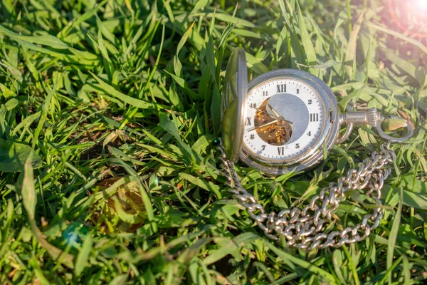 Vintage Zakhorloge Liggend Het Groene Gras Steampunk Horloge Zonnige Zomerdag — Stockfoto