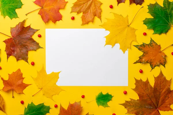 Flat Lay Autumn Fallen Leaves Yellow Background White Blank Space — Stock Photo, Image