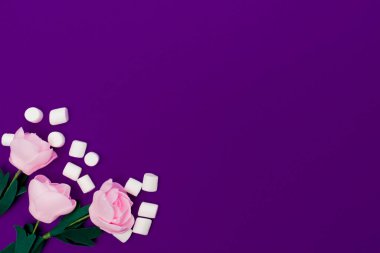 Üç pastel gül ve dağınık küçük şekerlemeler parlak mor bir arka planda yatıyor. Yukarıdan bak. Boşluğu kopyala.