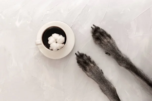 Bir fincan sade kahve, ortada bir fincan çay tabağı, gri arka planda. Yukarıdan bak. Boşluğu kopyala