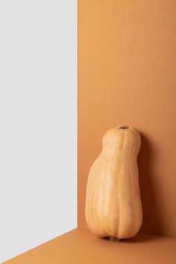 Beyaz turuncu arka planda bir balkabağının minimalist sonbahar kompozisyonu