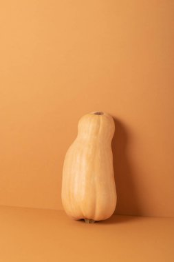 Tek bir balkabağı turuncu duvar arkasında kalır. Boşluğu Kopyala.