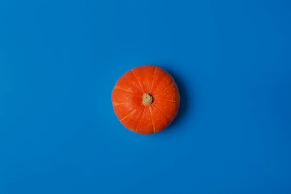 Πορτοκαλί Κολοκύθα Ένα Φωτεινό Μπλε Φόντο Επίπεδη Τοποθέτηση Minimal Στυλ — Φωτογραφία Αρχείου