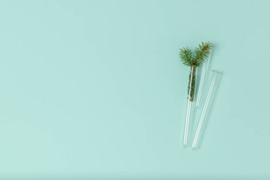 Cam test tüplerinden oluşan minimalist Noel kompozisyonu ve nane arkaplanda fotokopi alanı olan ladin filizi. Üst manzara, düz yatış. Tıbbi Yeni Yıl konsepti