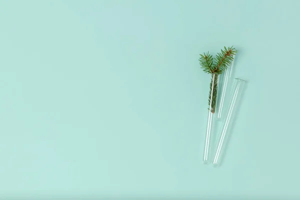 Cam test tüplerinden oluşan minimalist Noel kompozisyonu ve nane arkaplanda fotokopi alanı olan ladin filizi. Üst manzara, düz yatış. Tıbbi Yeni Yıl konsepti