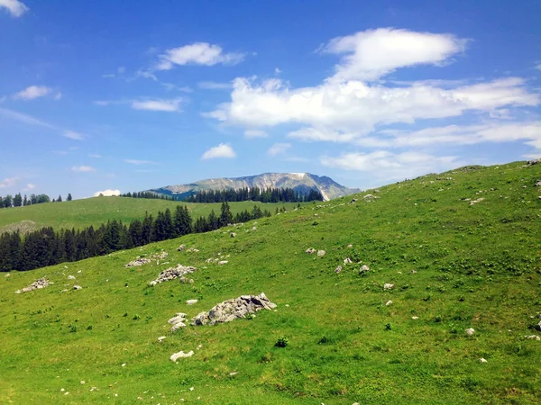 View Oetscher Feldwiesalm Austria — Stock Photo, Image