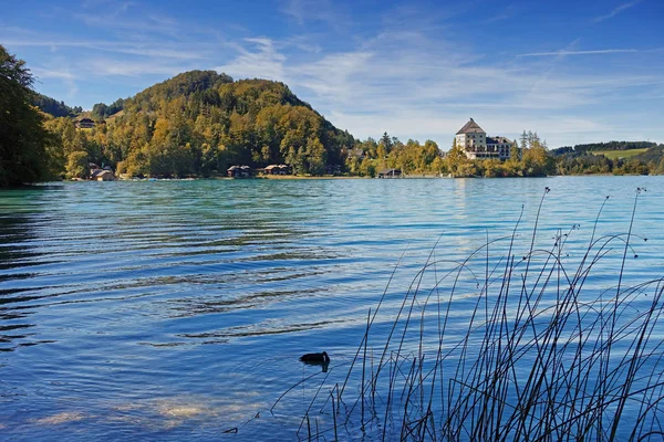 湖滨福煦湖附近的萨尔茨堡萨尔茨卡默古特 上奥地利 奥地利 图库图片