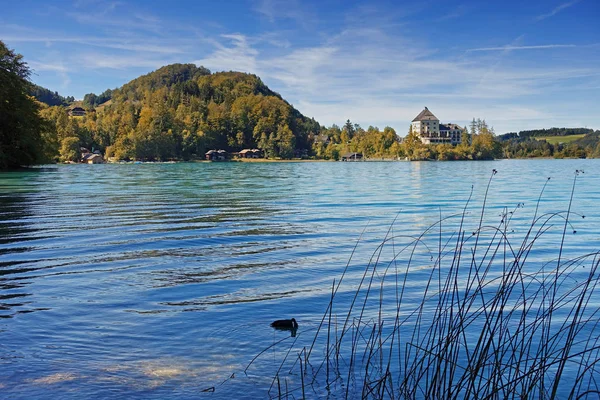 Fuschlsee Bei Salzburg Salzkammergut Oberösterreich Österreich Stockbild