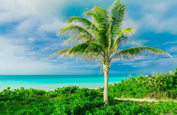 Asombrosa Hermosa Vista Hermosa Del Paisaje Natural Cubano Isla Santa — Foto de Stock