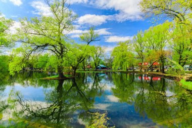 büyük bahar güneşli hafta sonu zaman zevk yürüyüş ve arka planda rahatlatıcı insanlarla gölet alanı yakınında Toronto Merkezi Adası'nda doğal manzara muhteşem şaşırtıcı davetkar görünümü