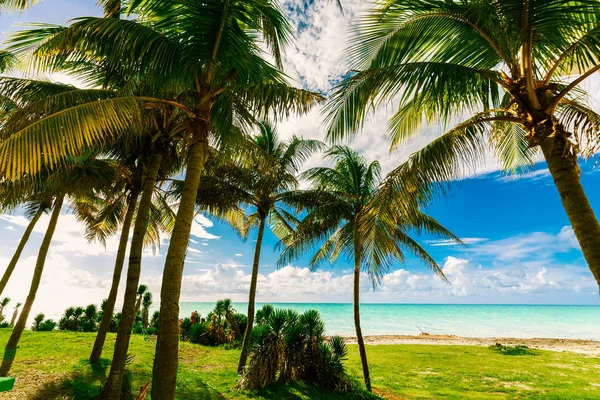 Bonita Agradável Incrível Paisagem Natural Vista Varadero Praia Cubana Tranquilo — Fotografia de Stock