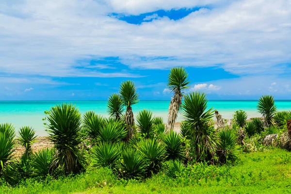 Mooie Leuke Verbazingwekkende Natuurlijke Landschap Weergave Van Varadero Cubaanse Strand — Stockfoto