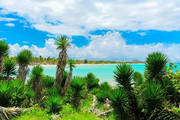 Hermoso Increíble Gran Paisaje Natural Vista Playa Cubana Varadero Tranquilo — Foto de Stock