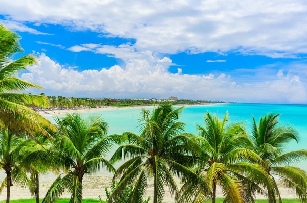 Варадеро Куба Потрясающий Великолепный Вид Сада Кубинском Пляже Варадеро Спокойный — стоковое фото