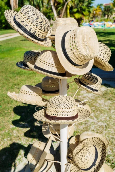 Increíble Hermosa Vista Cerca Varios Elegantes Sombreros Paja Verano Moda —  Fotos de Stock