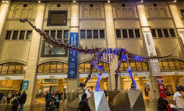 Toronto Ontario Canadá Royal Ontario Museum Octubre 2018 Hermoso Fragmento — Foto de Stock