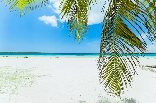 Geweldig Prachtig Ontspannen Mooi Uitnodigend Uitzicht Wit Zand Tropisch Strand — Stockfoto