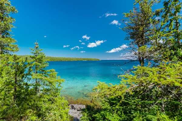 湖と森 素晴らしい素晴らしい 穏やかなターコイズブルーのきれいな夏の日に新鮮な水でブルース半島公園の自然景観を魅了 — ストック写真
