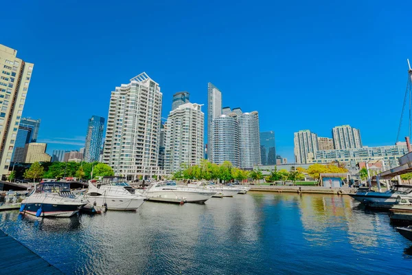 Toronto Ontário Canadá Oct 2019 Perfeita Vista Incrível Toronto Frente — Fotografia de Stock