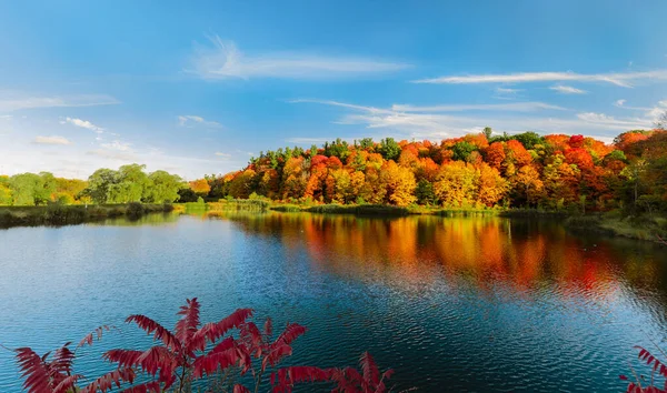 青い空を背景に 湖の中の紅葉の森 景観の素晴らしい景色を楽しむことができます — ストック写真