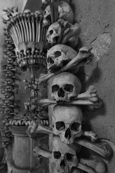 Skulls Bones Made Art — Stock Photo, Image