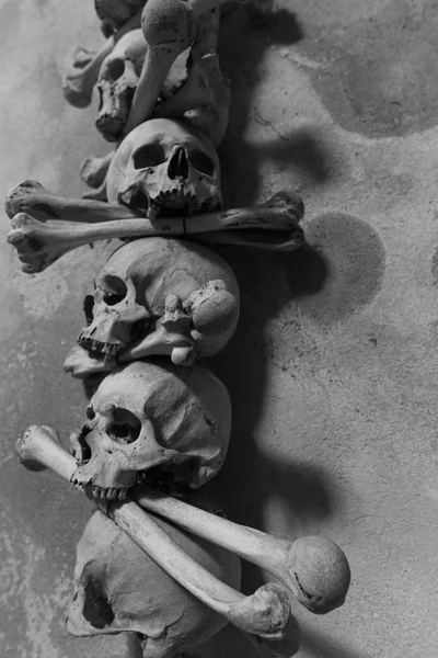 Skulls Bones Art — Stock Photo, Image