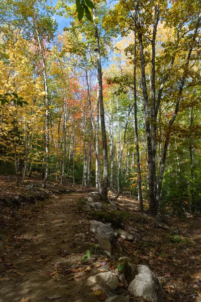 Acadia Ulusal Parkı 'nda yürüyüş parkuru
