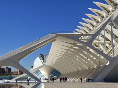 Estructuras en perspectiva. Ciudad de las Artes y las Ciencias en Valencia, arquitecto: Santiago Calatrava                              