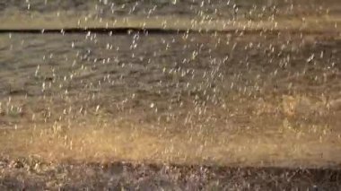 Gün batımı ışınları, ışıltılı Çeşme sıçramalarına yakın çekim. HD slowmotion x4