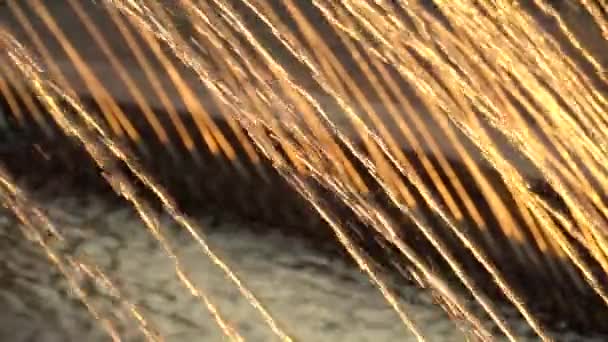 Thin jets water of fountain fly up in the rays of sunset. HD slowmotion x4 — Stock Video