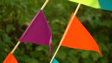 Renkli üçgen bayraklar sallayarak üzerinde yeşil arka plan. HD