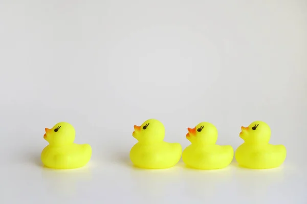 Yellow duck toy on white background. Business, Leadership, Teamwork or Friendship Concept