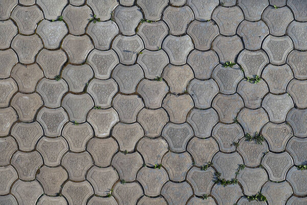 Gray paving stones covered with moss and grass. Pedestrian road, pavement or sidewalk. Photo
