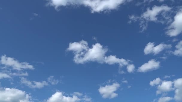 Csak nyári kék eget gyorsan mozgó metamorf fehér felhők. Teljes HD gyorsított idő felvételeit