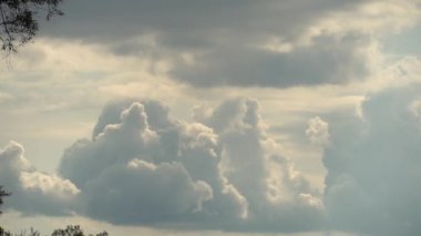 Hızlı hareket eden metamorfik büyük hacimsel bulutlar ile fırtına önce karanlık gökyüzü, sol ağaç dalları ile. Full Hd Zaman Atlama