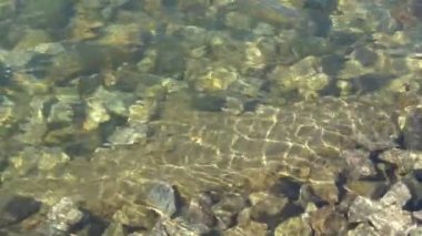 Güneşin altında, nehrin taş dibinde güneş parlaması. SlowMo Full HD