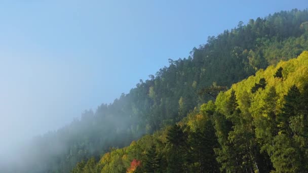 Misty Ochtend Herfst Berg Wolken Van Mist Stijgen Snel Boven — Stockvideo