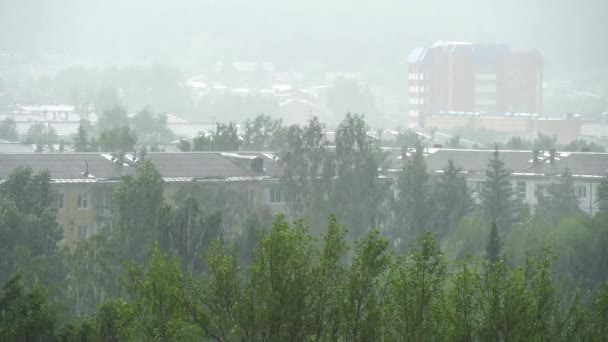 Verano Fuerte Lluvia Ciudad Vista Superior Sobre Árboles Verdes Techos — Vídeos de Stock