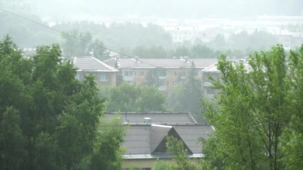 Summer Pouring Rain City Top View Green Trees Roofs Houses — Stock Video