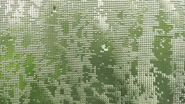 水の滴 レンズのような 蚊帳の上 夏は都市に雨を注ぐ 4Kビデオ — ストック動画