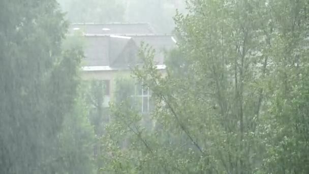 Summer heavy rain in city. Top view on green trees and roofs of houses. 4K video — Stock Footage Summer Heavy Rain City Top View Green Trees Roofs Houses Royalty Free Stock Footage
