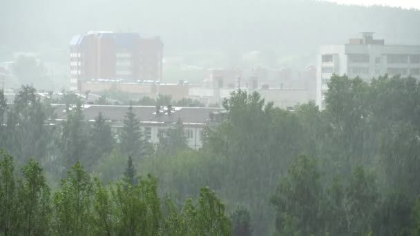 Chuva Forte Verão Cidade Vista Superior Árvores Verdes Telhados Casas — Vídeo de Stock