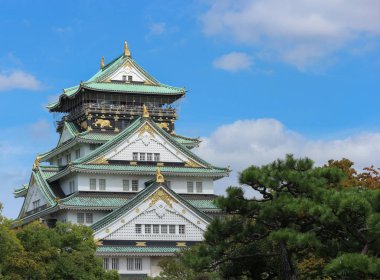 ünlü turizm manzaralı Osaka Kalesi yeşil ağaç arka plan bırakır.