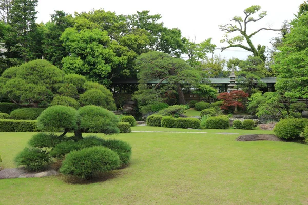 Giardino Verde Rilassante Giapponese — Foto Stock
