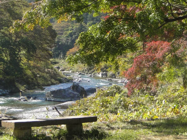 Nature Automne Saison Vue Tama Rivière Environnementoment Mitake Montagne Parc — Photo