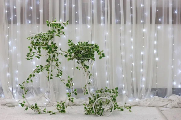 Uma Bicicleta Planta Verde Decoração Festa Casamento Com Iluminação Parede — Fotografia de Stock