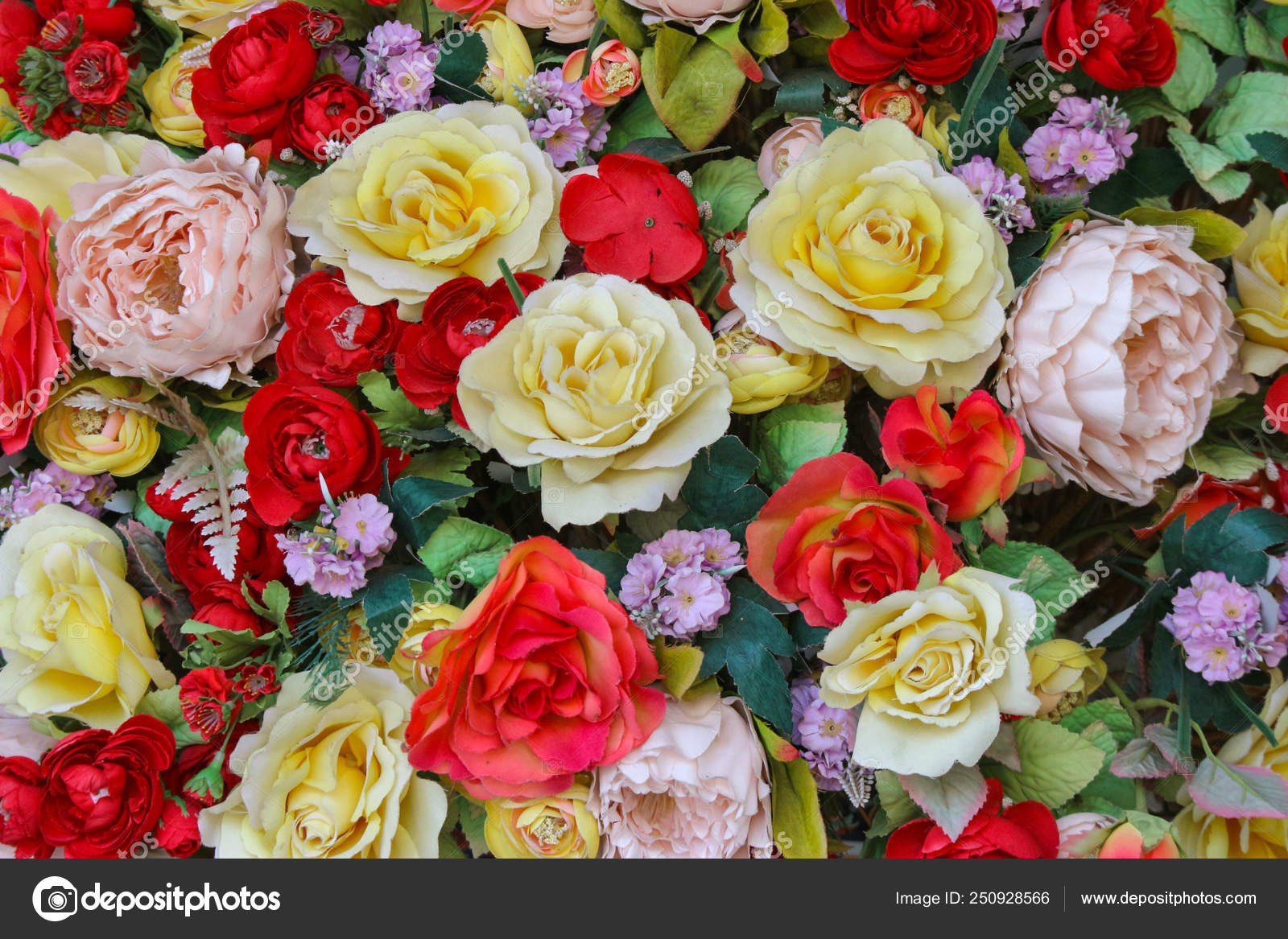 Varias flores fotos de stock, imágenes de Varias flores sin royalties | Depositphotos Varias flores fotos de stock, imágenes de Varias flores sin royalties | Depositphotos