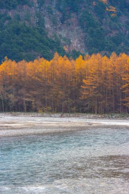 Kamikochi Nagano Japonya 'da Japon Alpleri dağ arasında doğal mavi nehir.